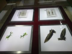 -上海昆虫博物馆