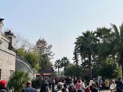 -枫香湖儿童公园