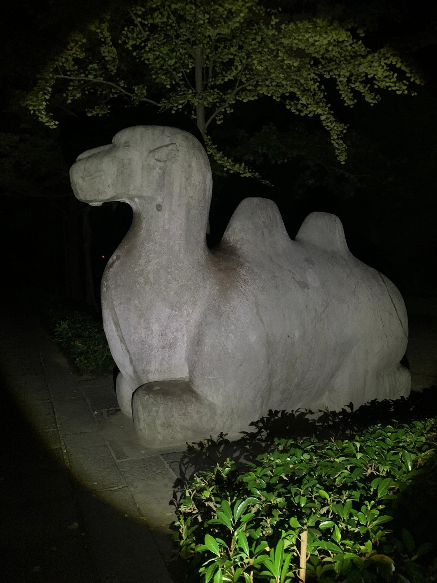 夜游明孝陵 净省140