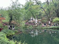 -岳麓山风景名胜区