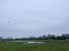 -洋湖国家湿地公园