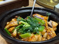 -朱记乳鸽王·非遗石岐乳鸽·全鸽宴(大兴旗舰店)