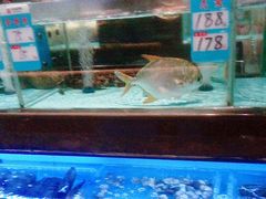 -阿伟海鲜楼·福建菜(延寿店)