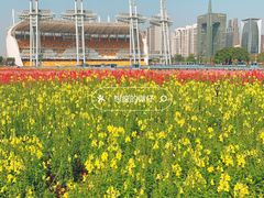 -海心沙亚运公园