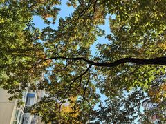 -百年尹氏汤包(湖南路狮子桥店)