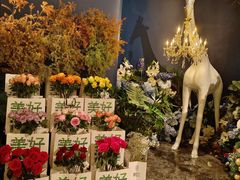 -狮拾久·现代新加坡料理(福田COCO Park店)