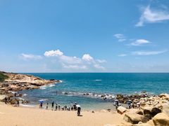 -广东惠东海龟国家级自然保护区