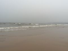 -日照海滨国家森林公园