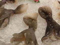-煲宫猪肚鸡(晶品店)