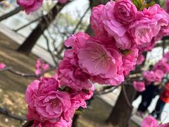 -颐和园