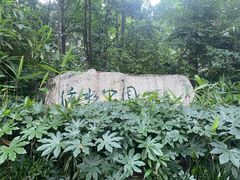 -成都市活水公园
