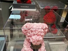-ROSEONLY诺誓(广州K11店)