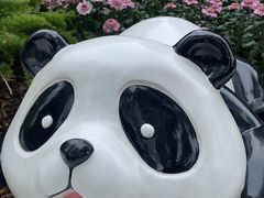 -奎星楼街