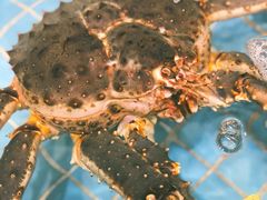 -79号渔船海鲜饭店(宝安店)