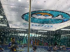 -Swim斯卫姆国际儿童游泳中心(红博中央公园店)