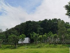 -王借岗森林公园