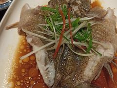 -梅龙镇酒家(南京西路总店)
