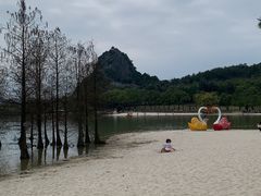 -南宁花花大世界景区