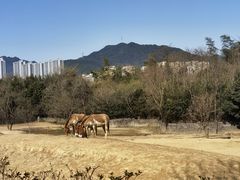 -磐安十八涡风景区