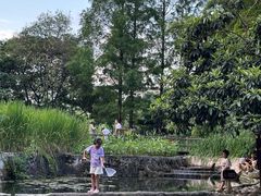 -成都市活水公园