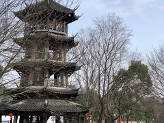 -西溪国家湿地公园