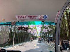 -日照海滨国家森林公园