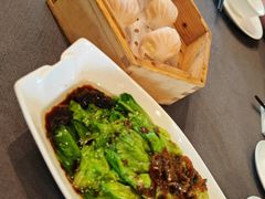 罗马生菜-韩上楼