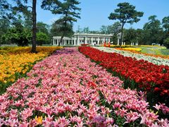 -沈阳植物园
