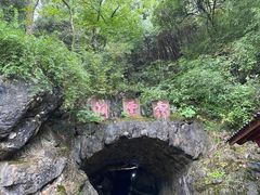 -灵栖洞天
