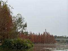 -白鹭湾湿地公园