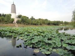 -舍利塔滩地公园-无垢净光舍利塔