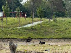 -WE ME 伴山营地·城市露营·团建策划