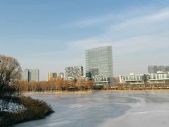 -大兴滨河森林公园