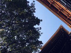 -大佛古寺