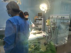 -菲丽丝宠物医院·24小时·猫科中心·免疫点(淮海分院)