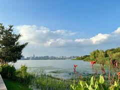 -长广溪湿地公园