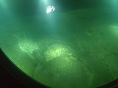 -白鹤梁水下博物馆