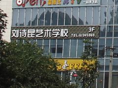-刘诗昆艺术学校(一品天下校区)