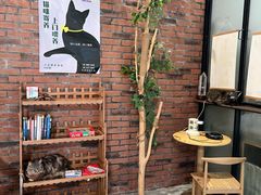-豆逗聊愈猫阁Easy Life