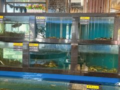 -聚鑫阁江浙菜·非遗传承技艺(青村帝华园店)