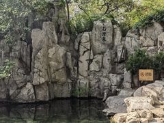 -趵突泉景区