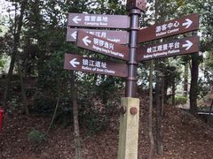 -铁山坪森林公园