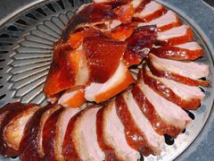 -守柴炉烤鸭(科华中路王府井店)