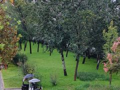 -西安汉城湖景区