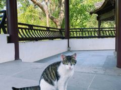 -上海佘山国家森林公园天马山园