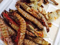 -将军关探险漂流