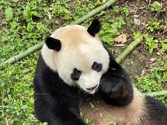 -黔灵山公园