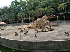 -广东茂名森林公园