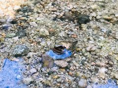 -碓臼峪自然风景区