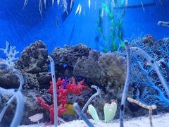 -成都浩海立方海洋公园